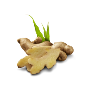 JAHE-MIN.png