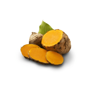 TEMULAWAK-MIN.png